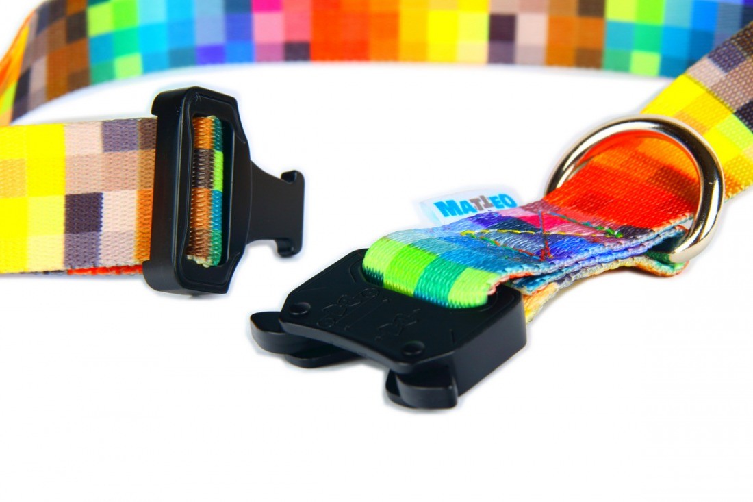 Collar With A Metal Buckle - Pixels