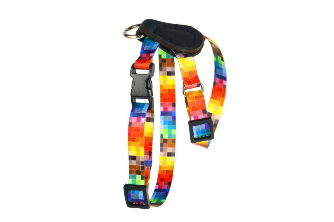 Harness With Leather – Pixels