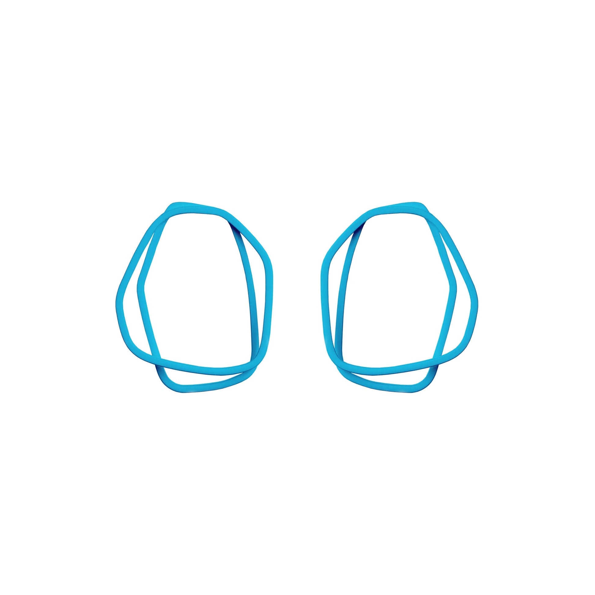 Loops Earrings